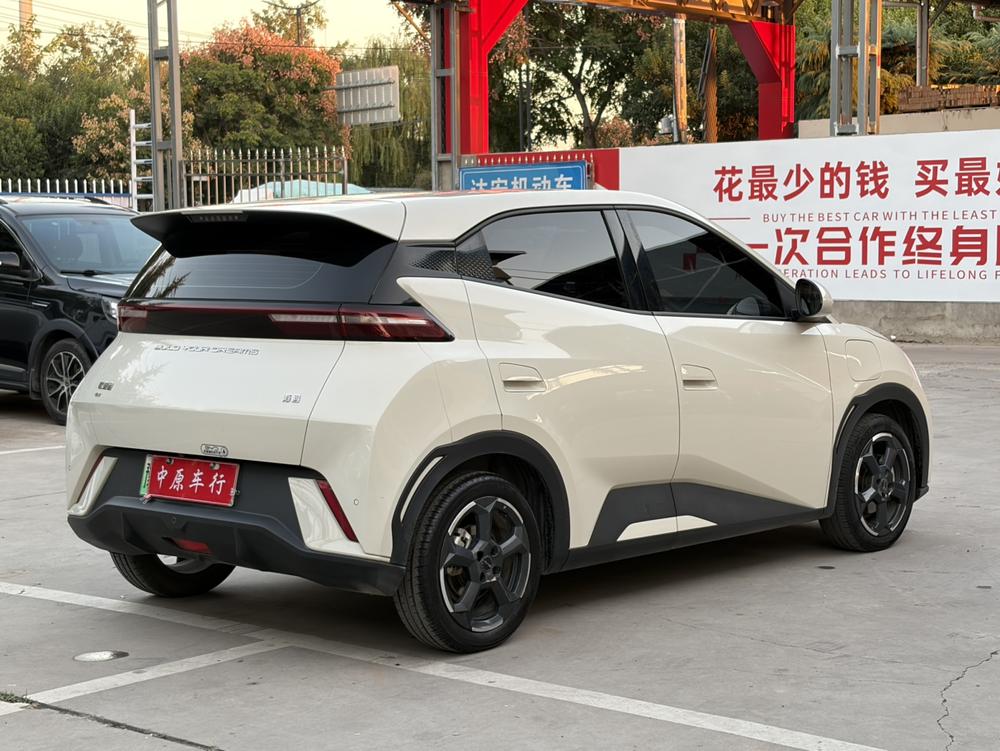BYD Seagull