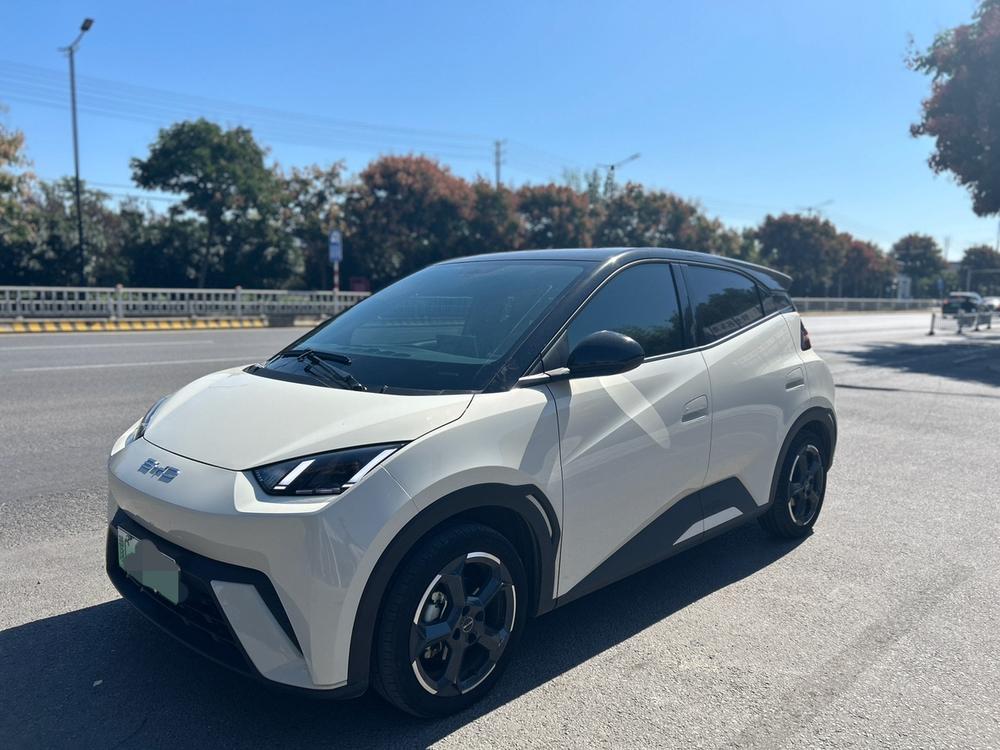 BYD Seagull