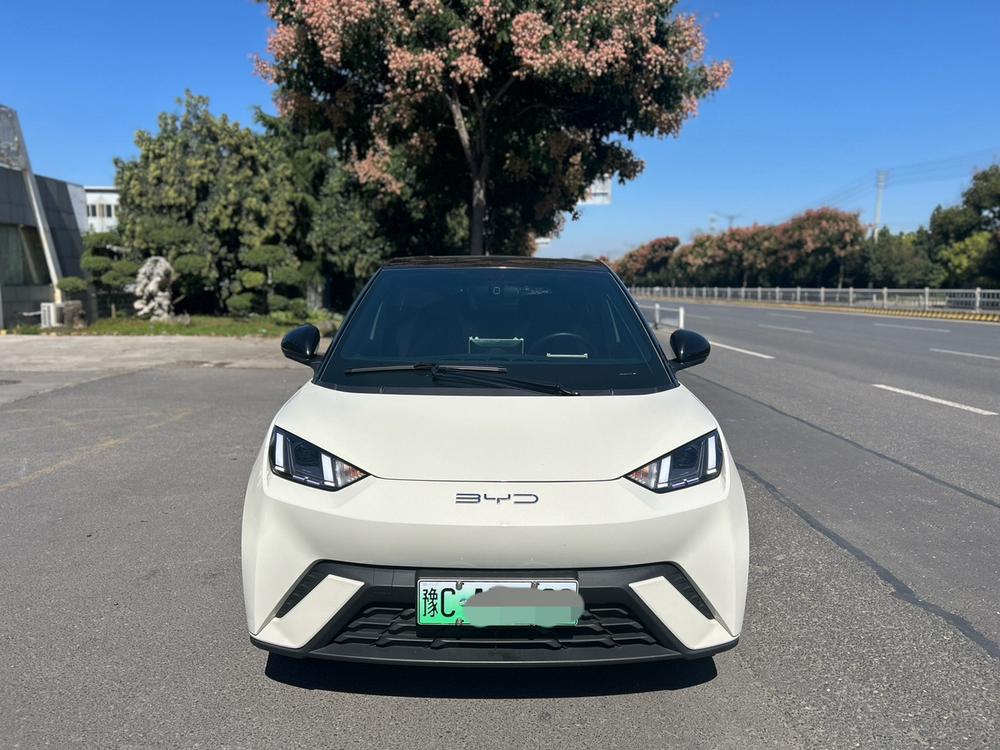 BYD Seagull