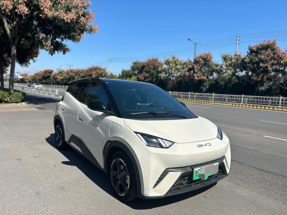 BYD Seagull