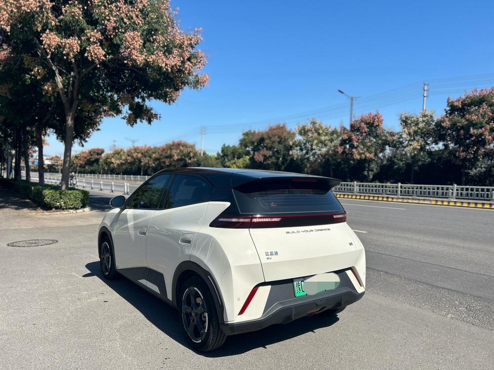 BYD Seagull