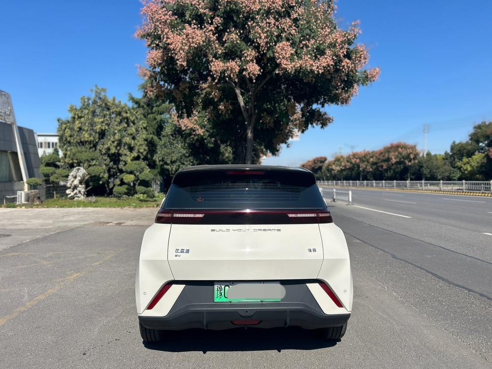 BYD Seagull