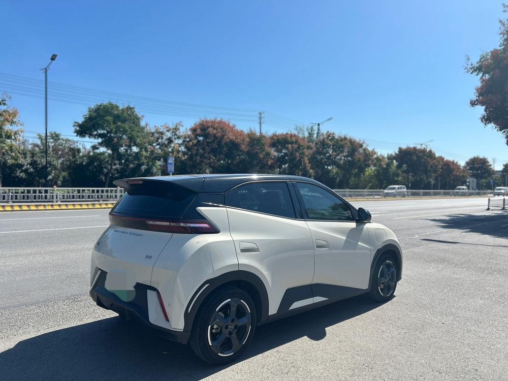 BYD Seagull