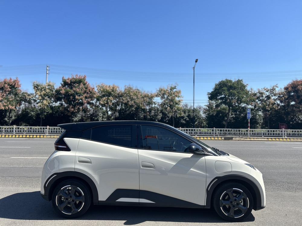 BYD Seagull