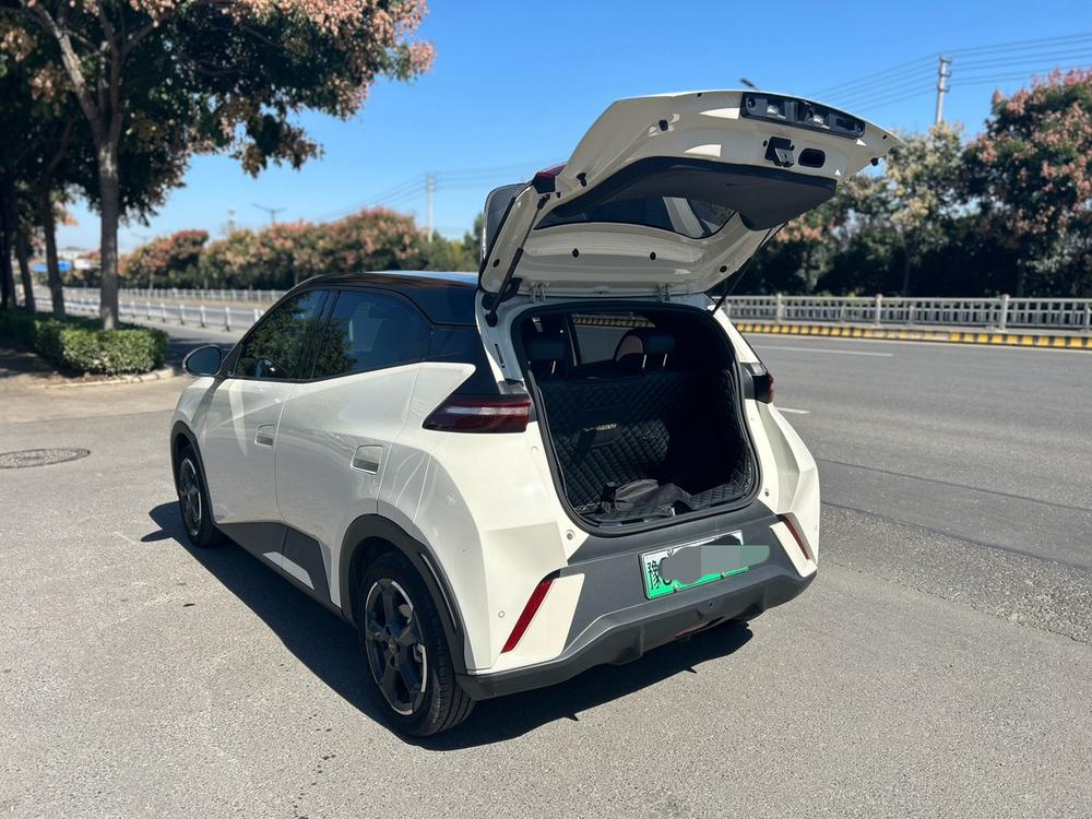 BYD Seagull