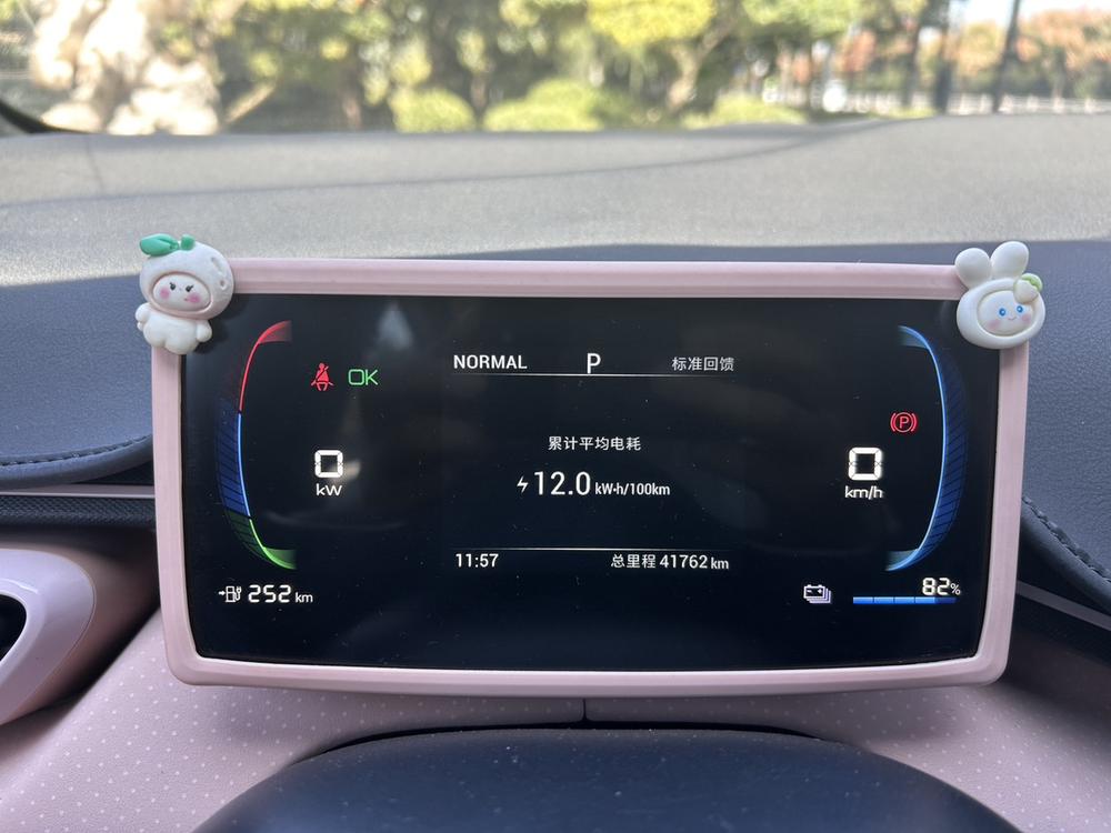 BYD Seagull