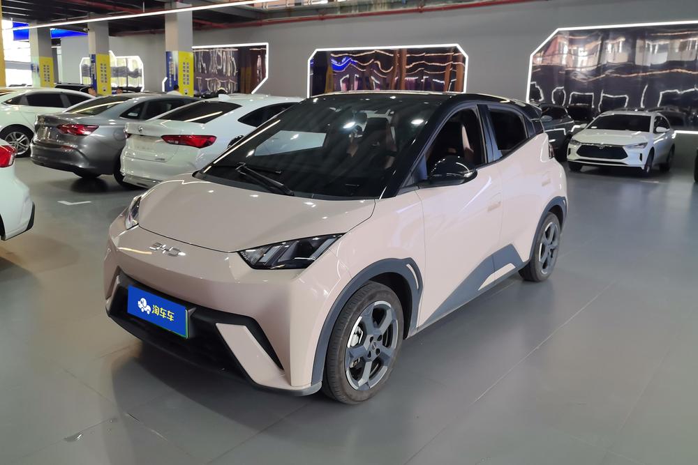 BYD Seagull