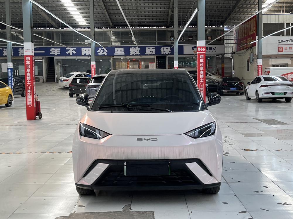BYD Seagull