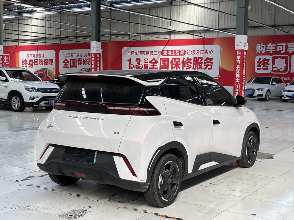 BYD Seagull
