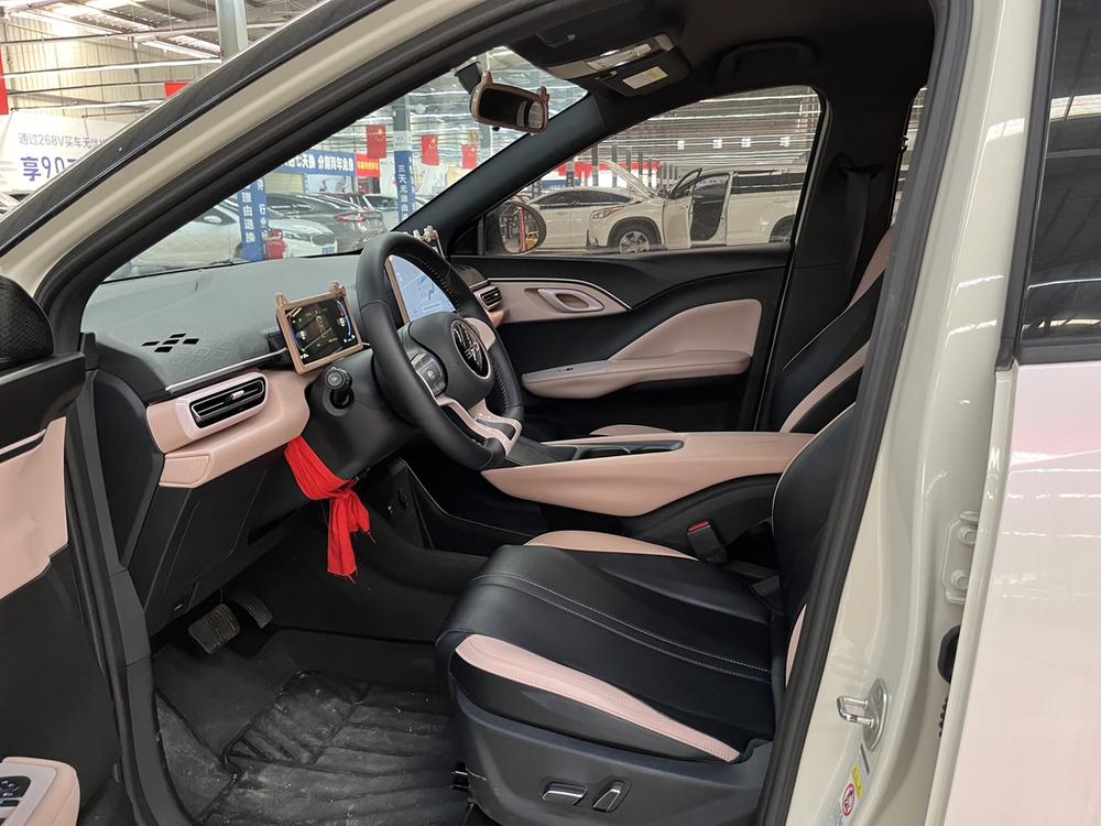 BYD Seagull