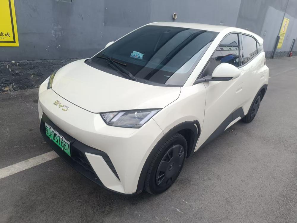 BYD Seagull