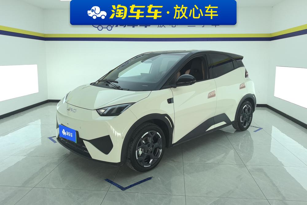 BYD Seagull
