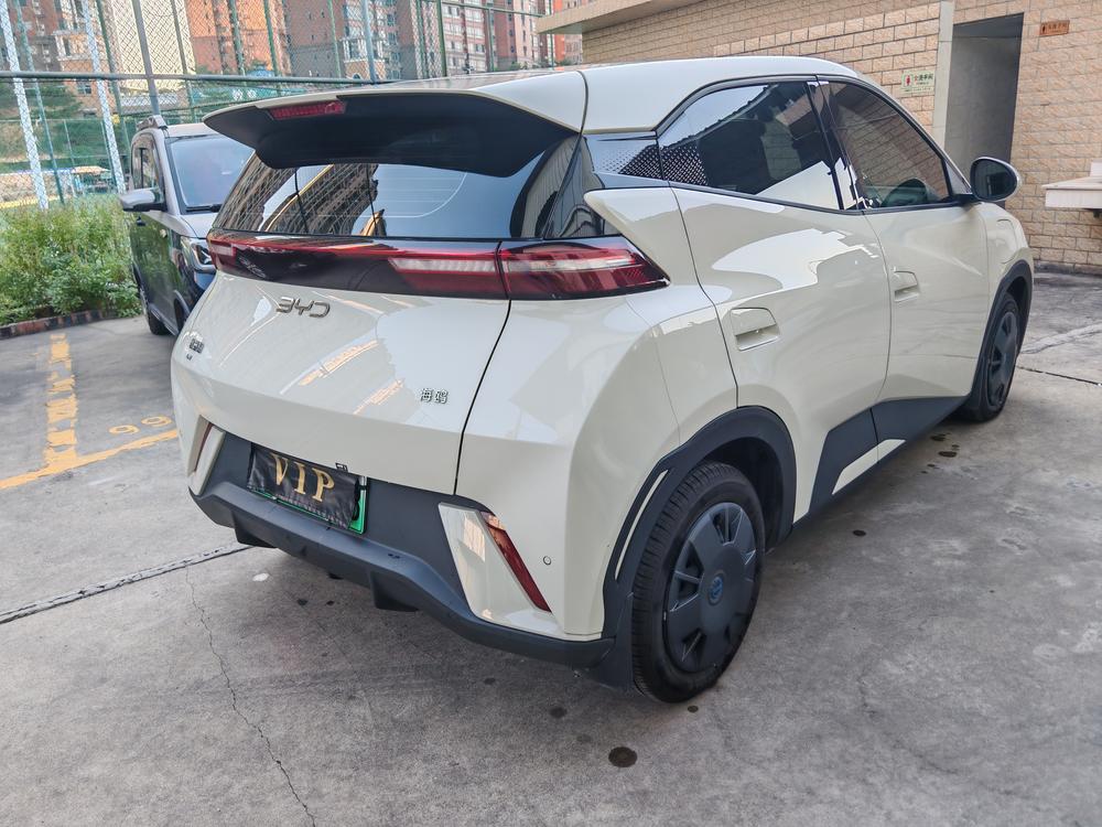BYD Seagull