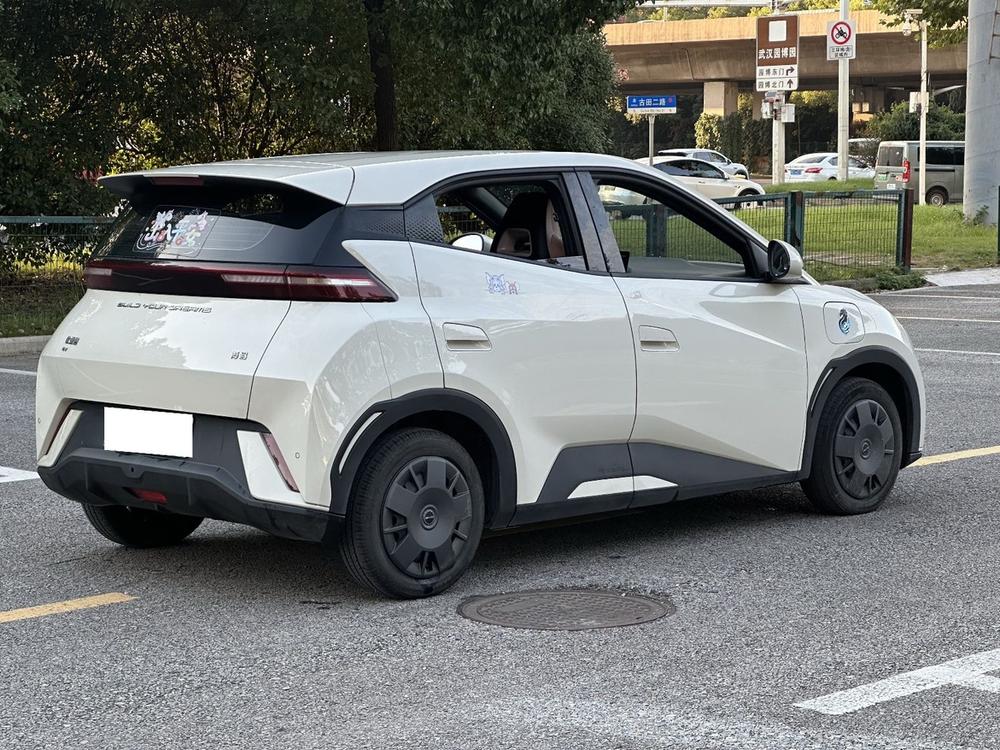 BYD Seagull