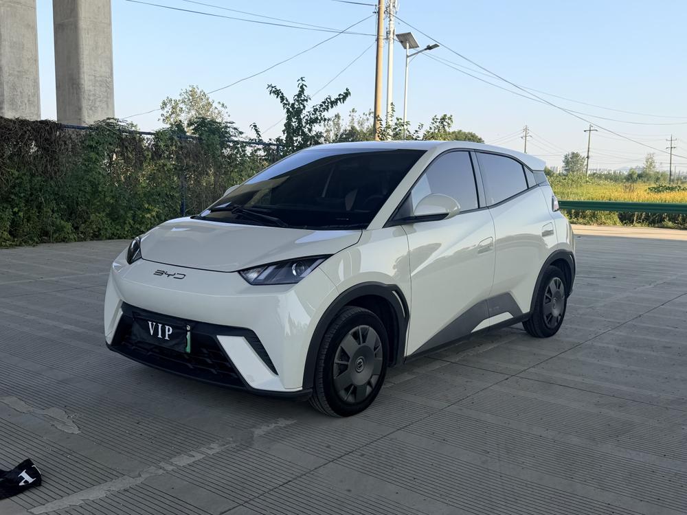 BYD Seagull