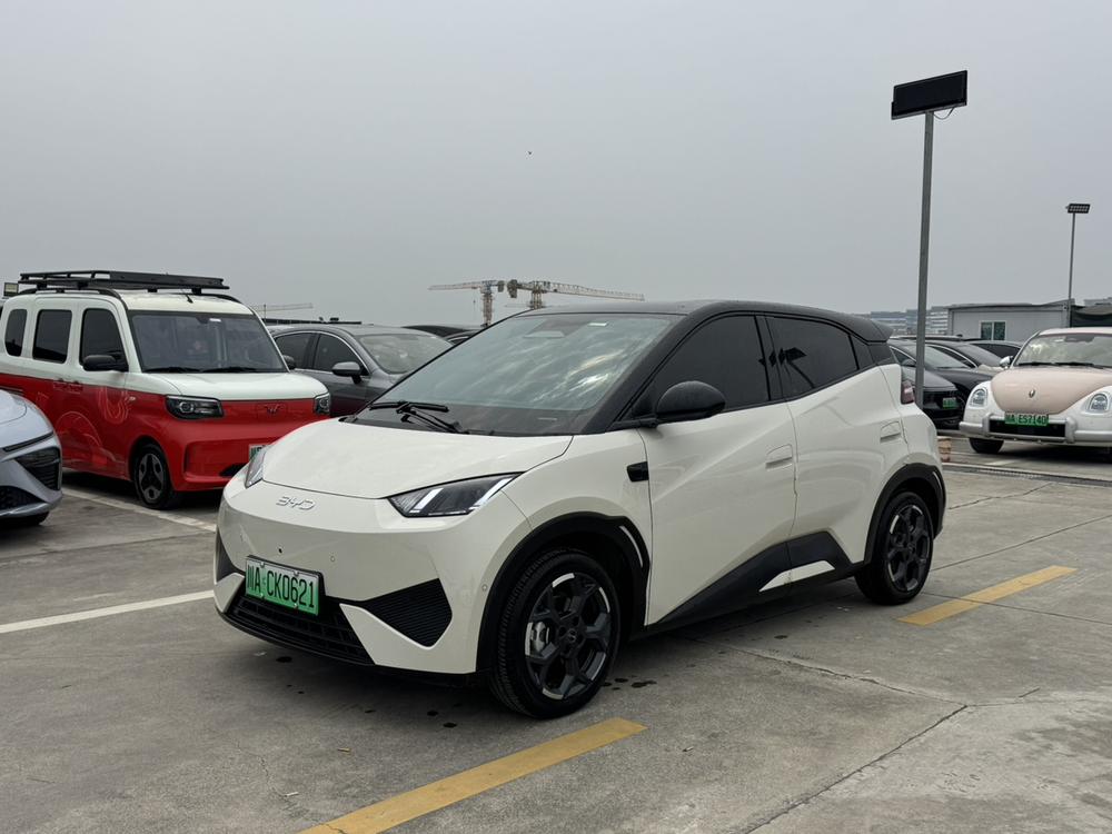 BYD Seagull