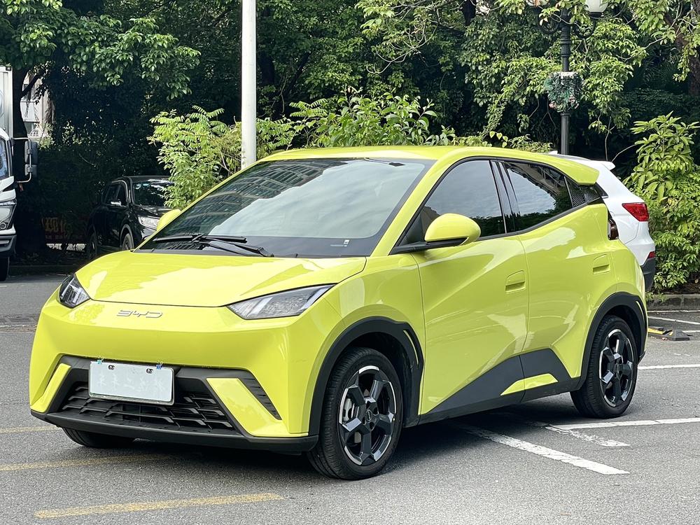 BYD Seagull