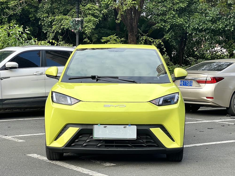 BYD Seagull