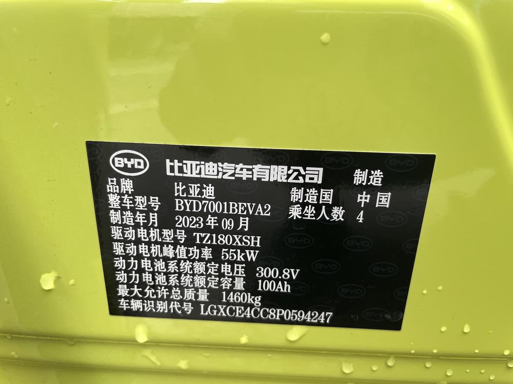 BYD Seagull