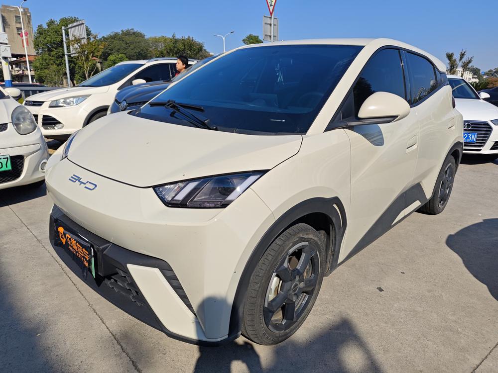 BYD Seagull