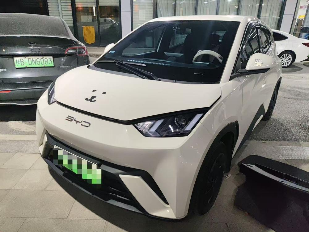 BYD Seagull