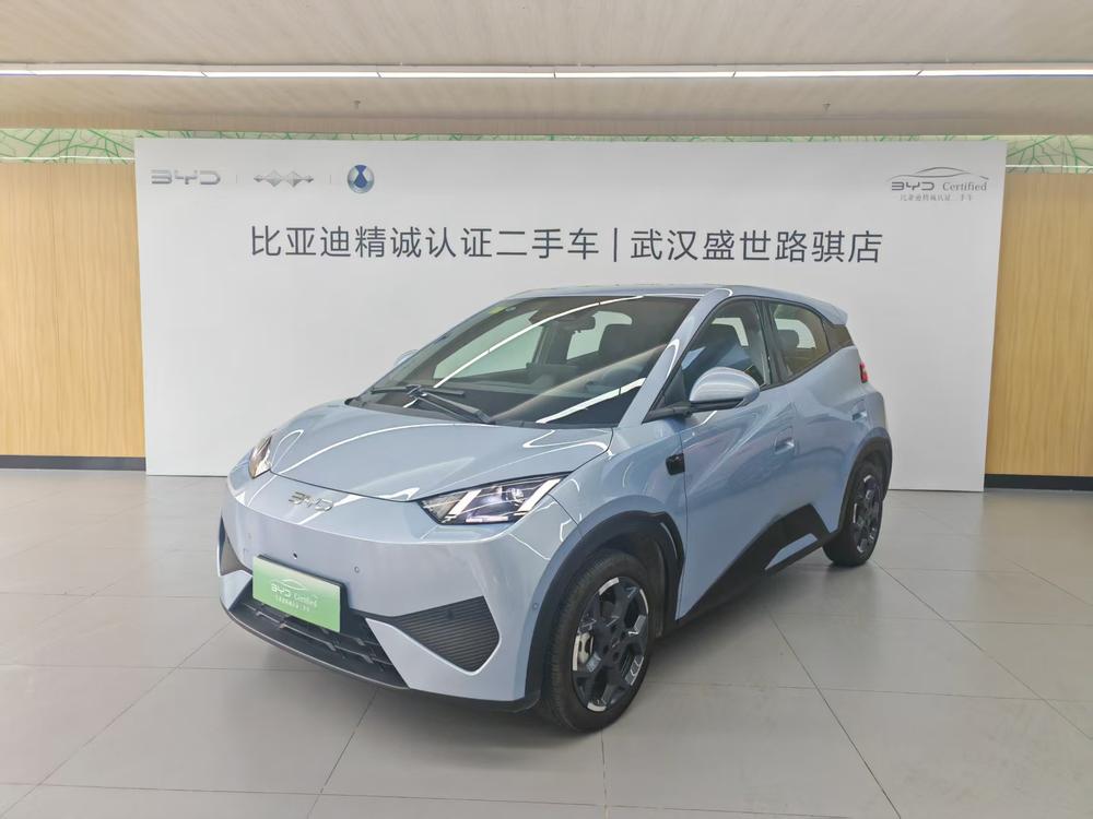 BYD Seagull