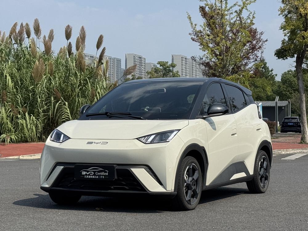 BYD Seagull