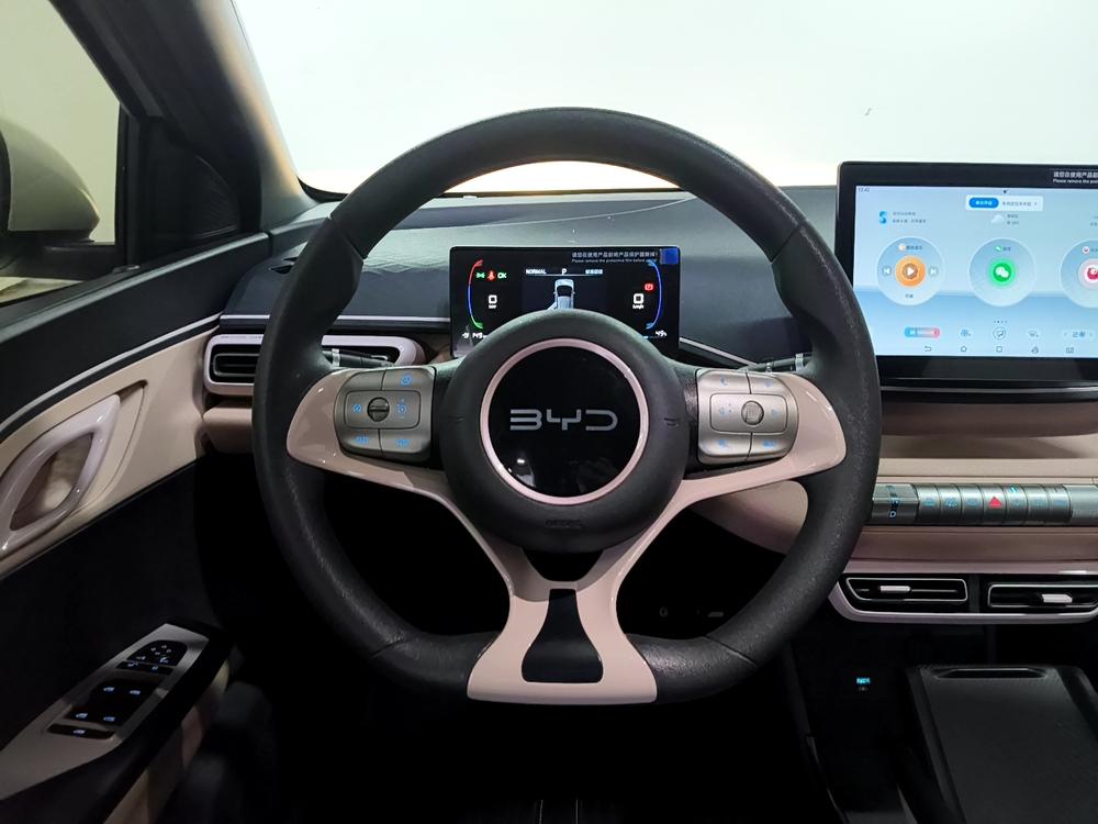 BYD Seagull
