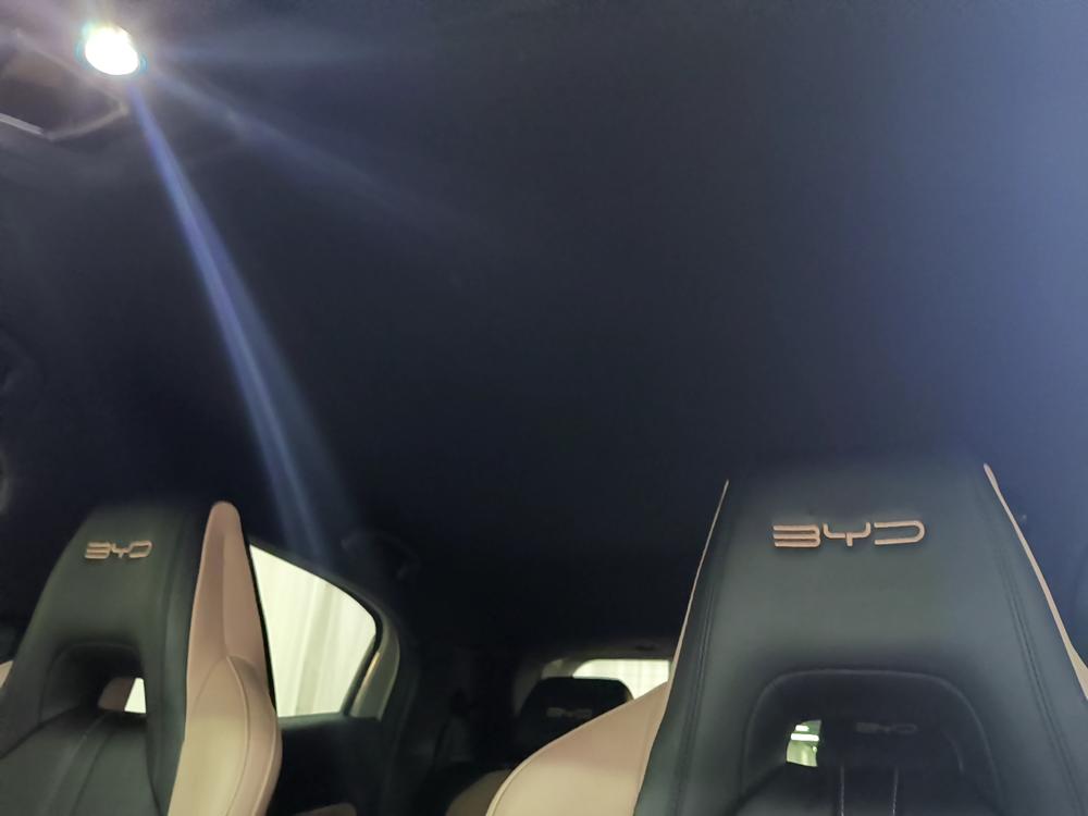 BYD Seagull