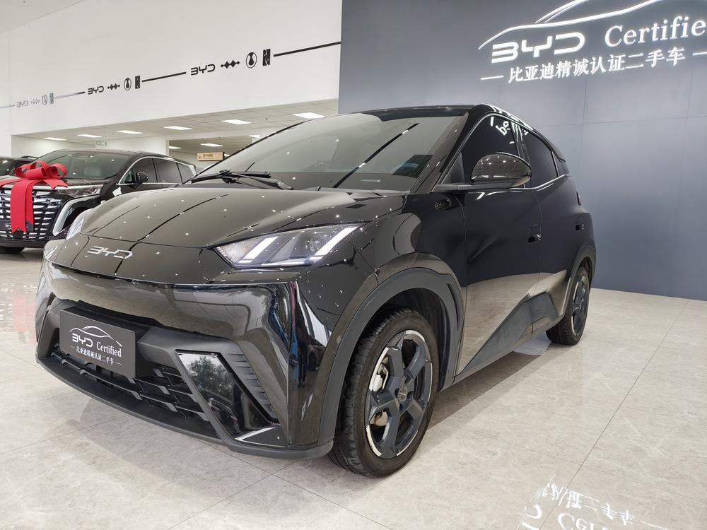 BYD Seagull