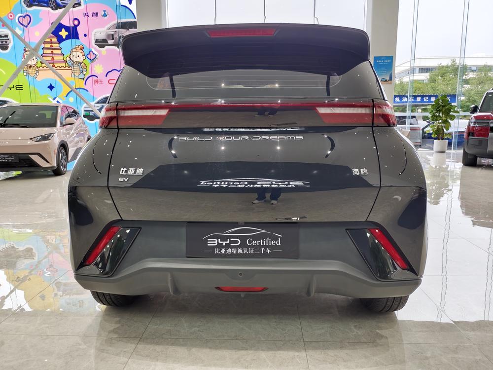 BYD Seagull