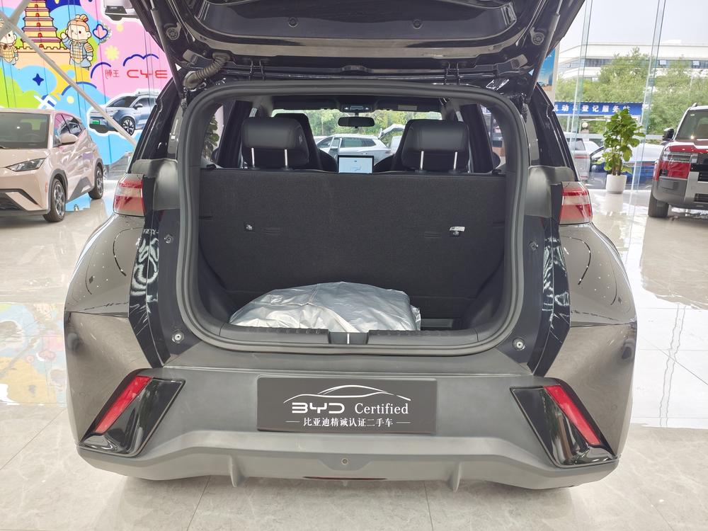 BYD Seagull