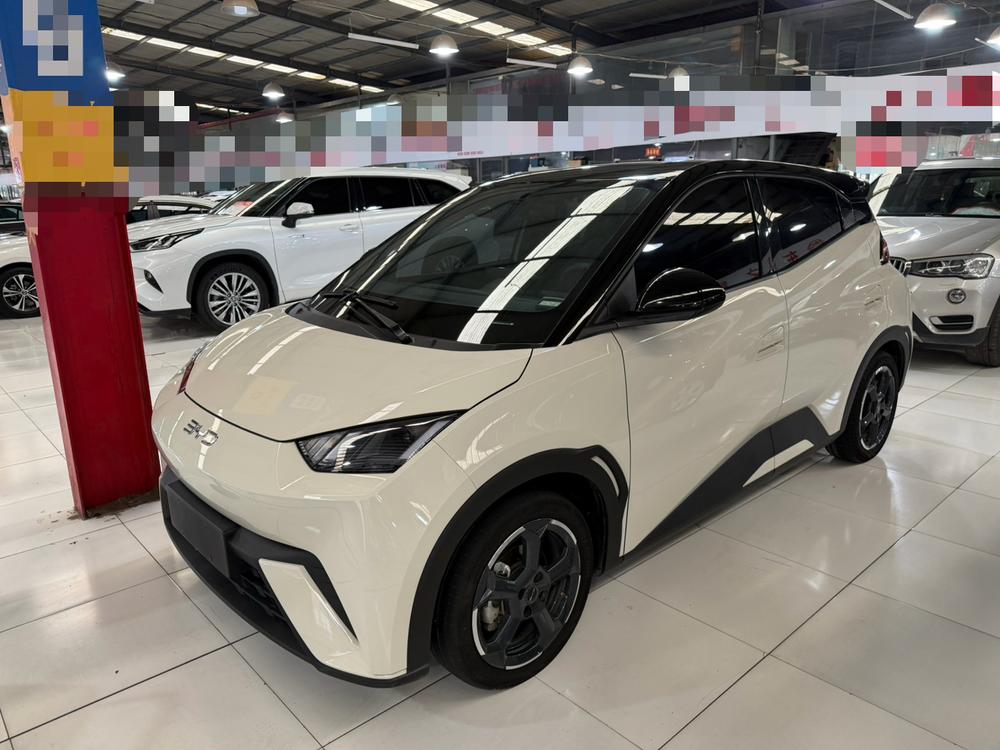 BYD Seagull