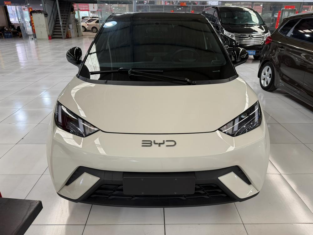 BYD Seagull