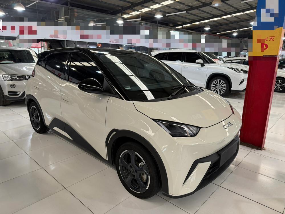 BYD Seagull