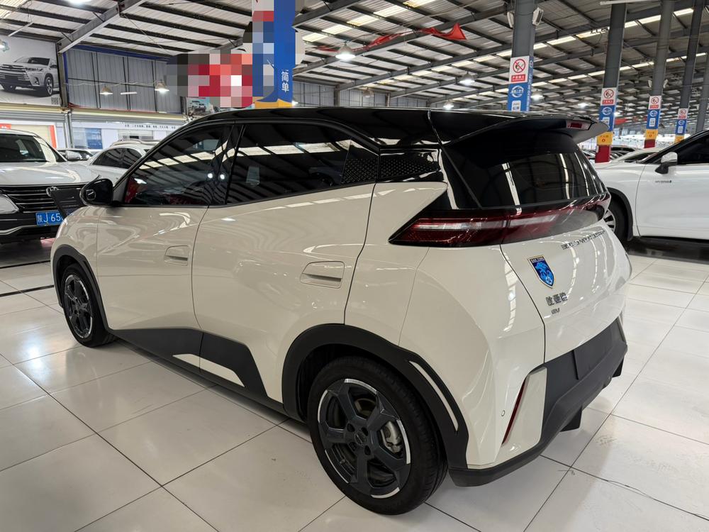BYD Seagull