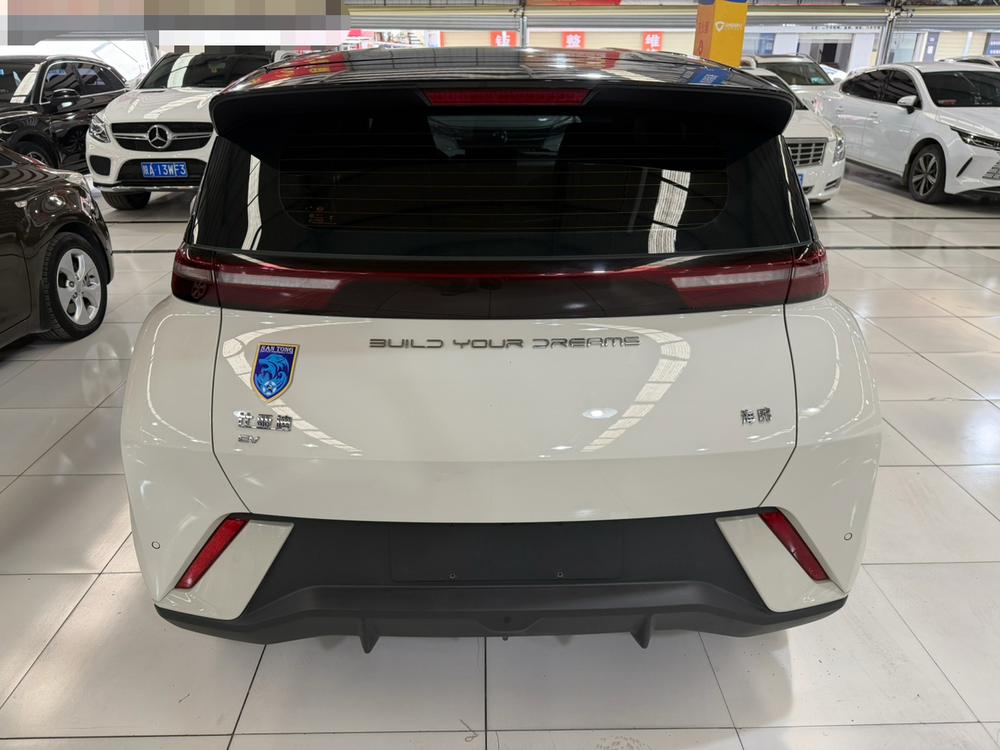 BYD Seagull