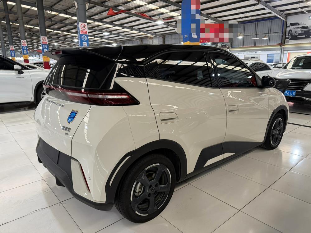 BYD Seagull