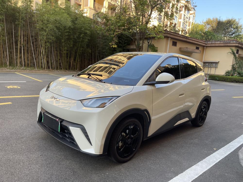 BYD Seagull
