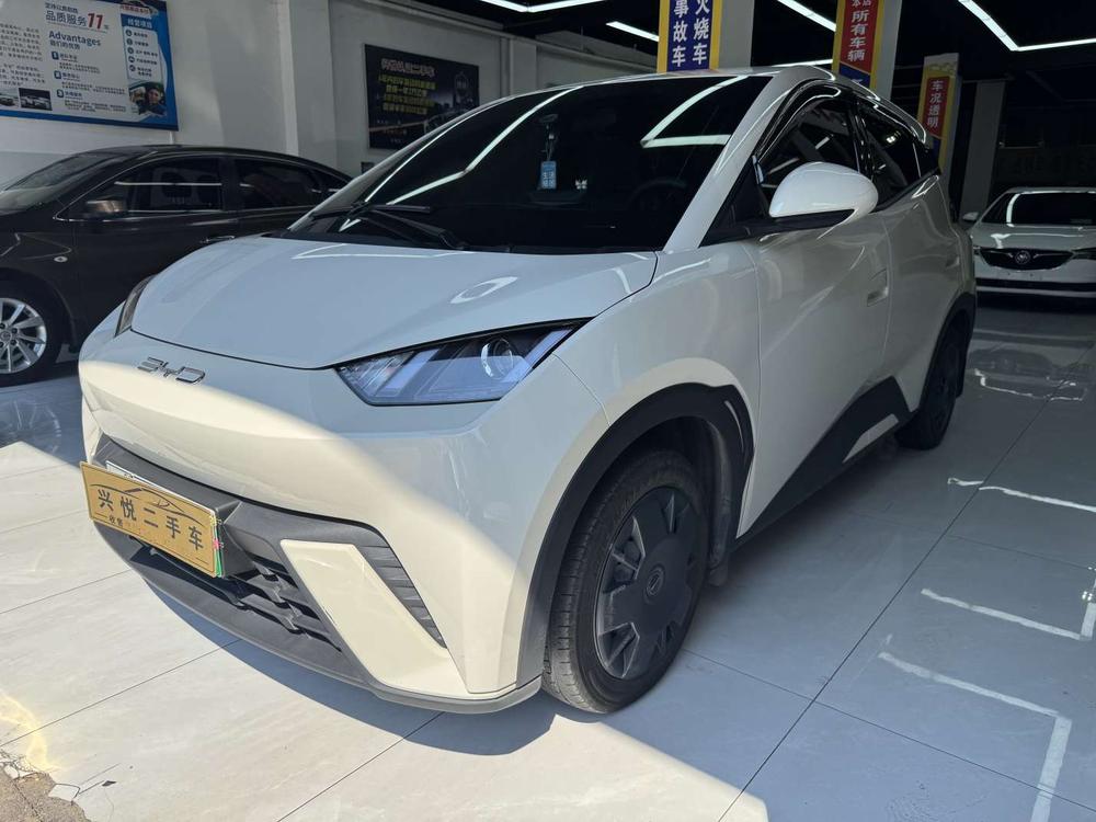 BYD Seagull