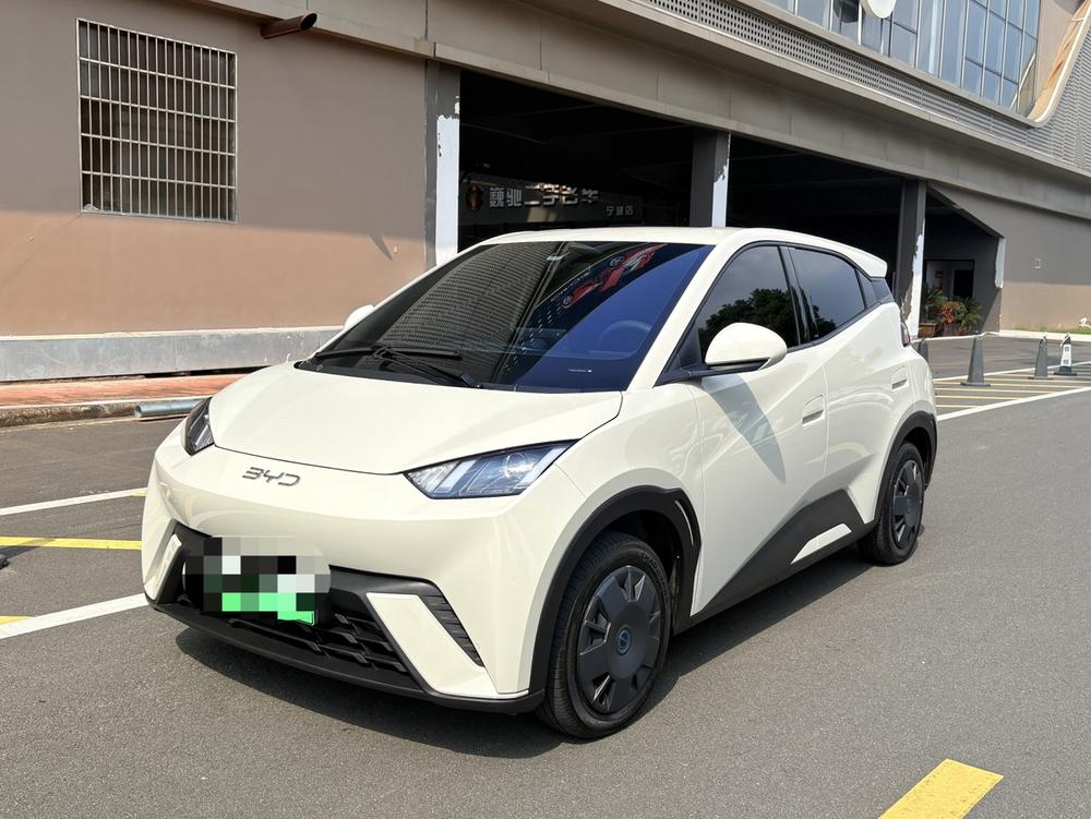 BYD Seagull