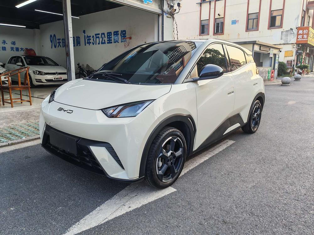 BYD Seagull