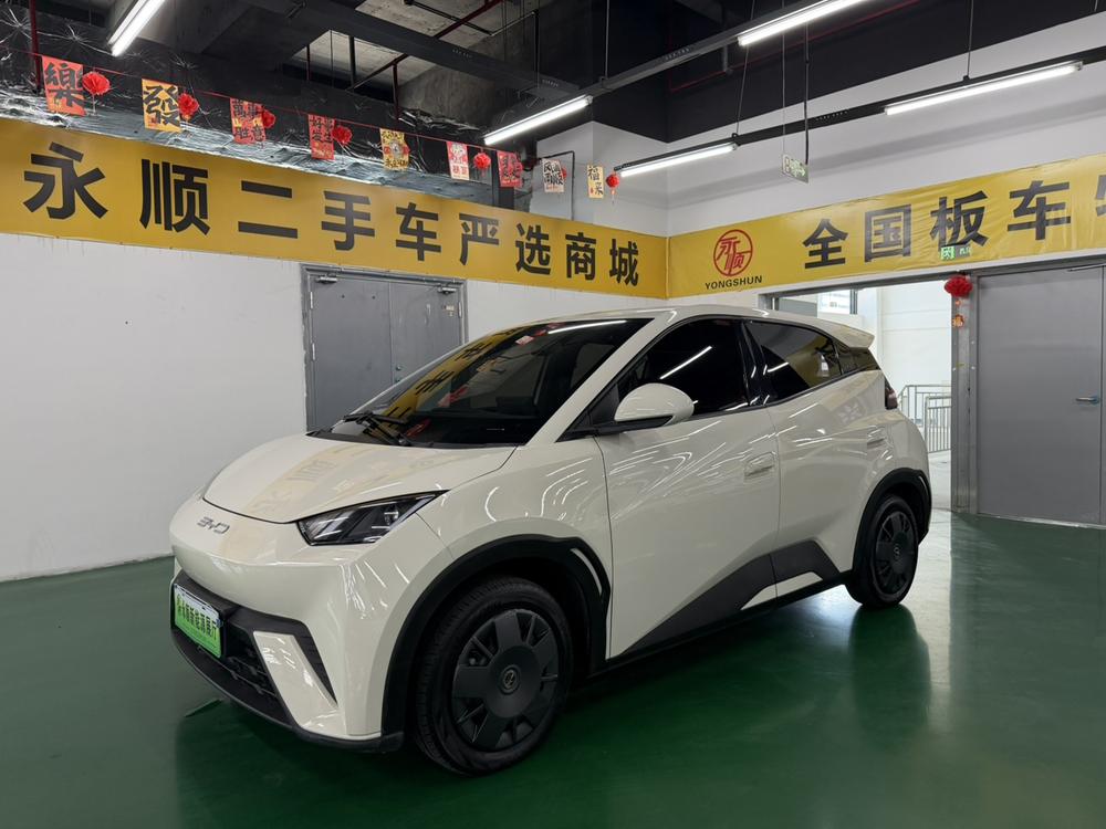 BYD Seagull