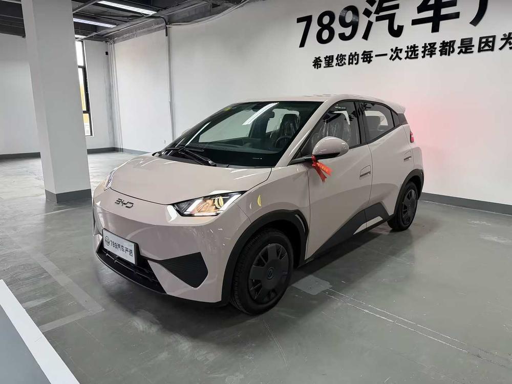 BYD Seagull