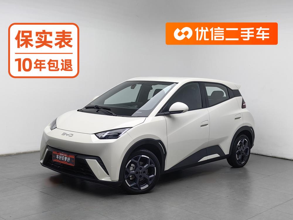 BYD Seagull
