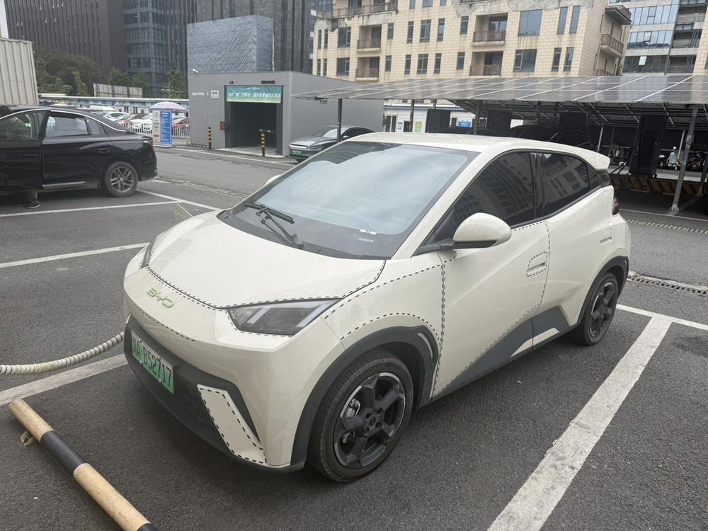 BYD Seagull