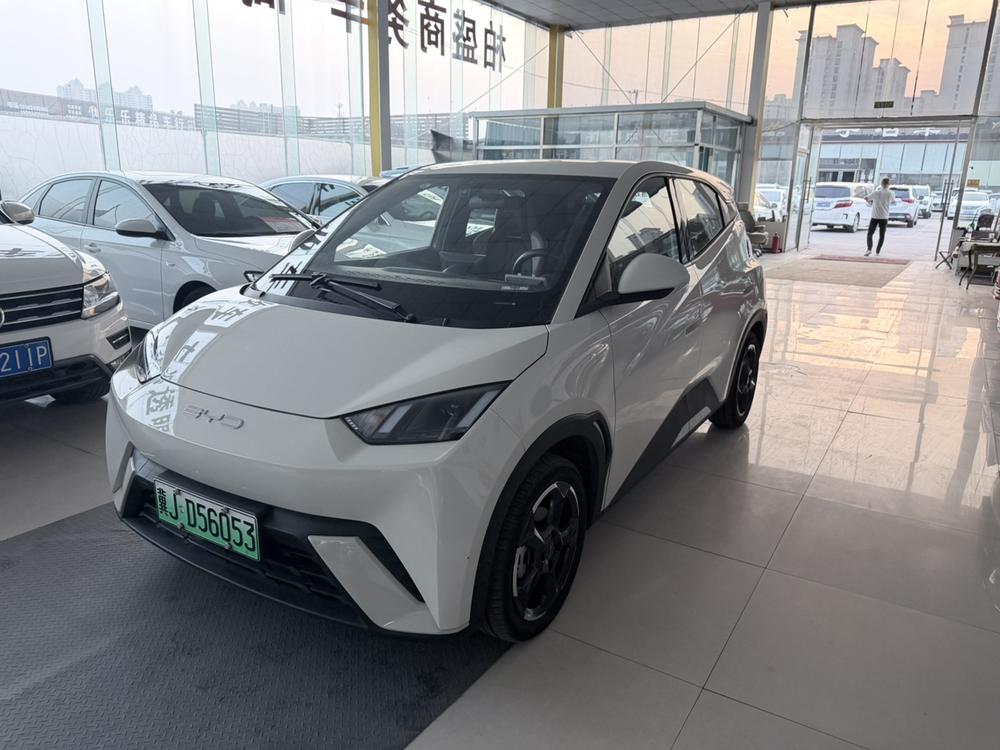 BYD Seagull