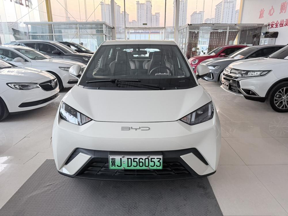 BYD Seagull