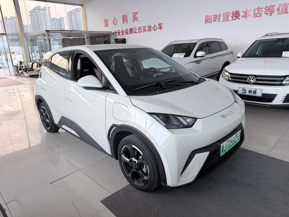 BYD Seagull