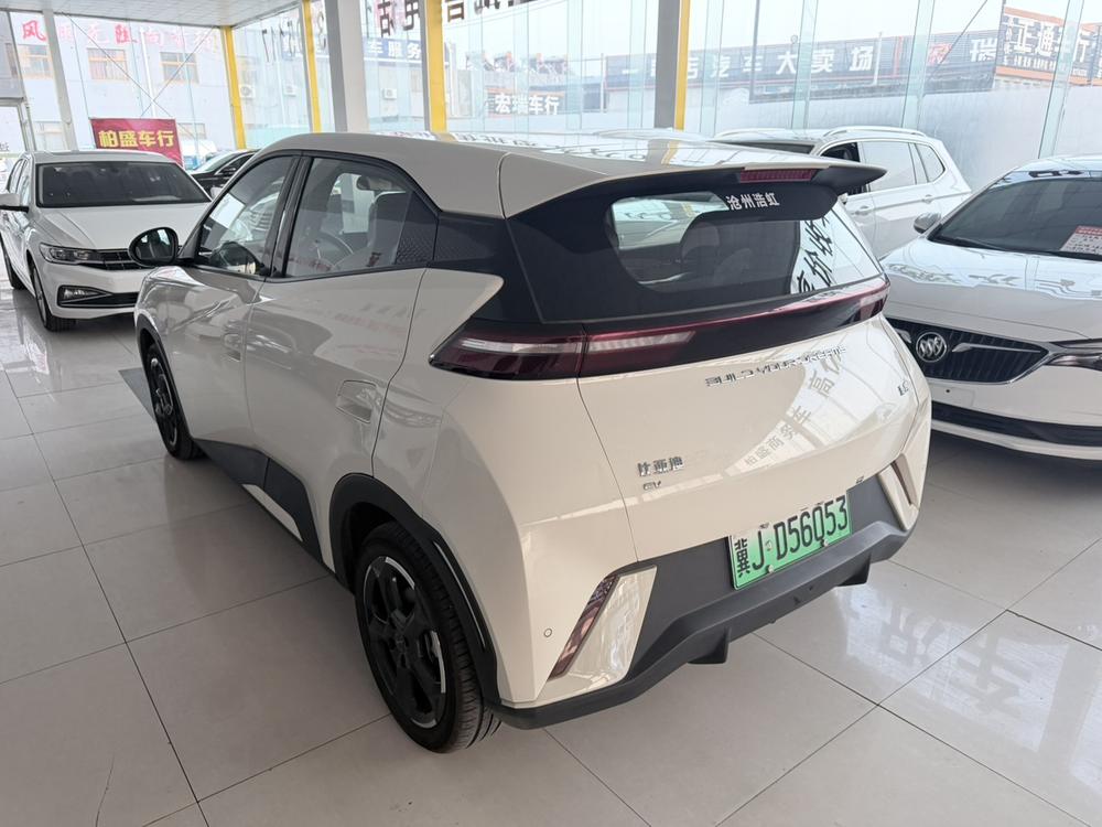 BYD Seagull